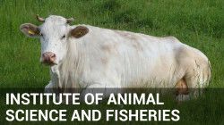 Odnośnik do INSTYTUT ZOOTECHNIKI I RYBACTWA EN