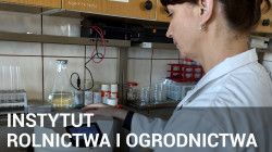Odnośnik do INSTYTUT ROLNICTWA I OGRODNICTWA