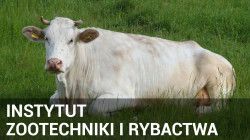 Odnośnik do INSTYTUT ZOOTECHNIKI I RYBACTWA