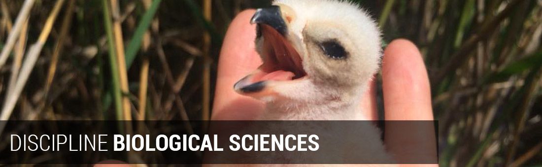 DISCIPLINE BIOLOGICAL SCIENCES