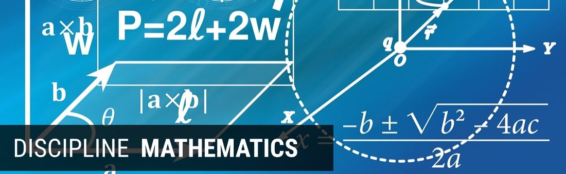 DISCIPLINE MATHEMATICS