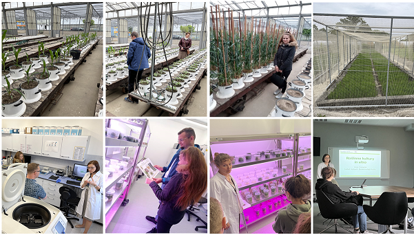 Research trip to IUNG-PIB in Puławy Zdj wyjazd iung